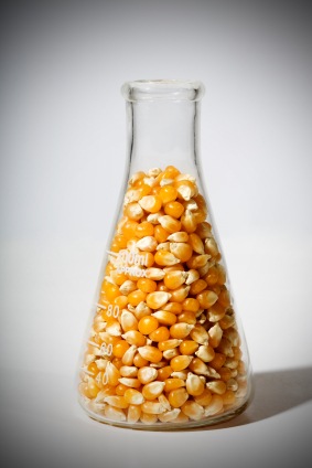 Corn Biofuel