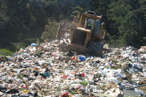 plastic bags