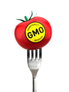 GMO