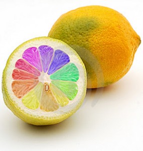 gmo-285x300