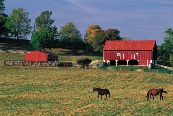 Action Alert: Protect Small Farmers and GMO Labeling Laws