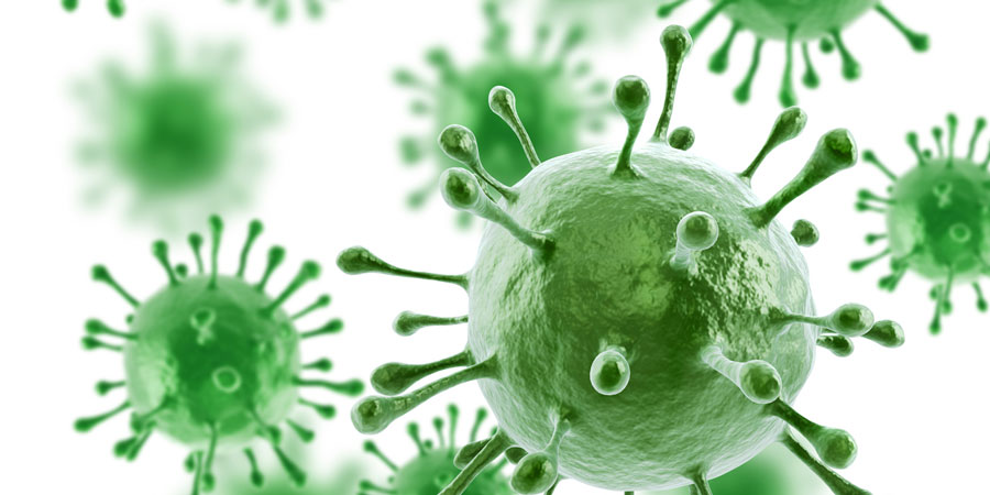 A New Tool for Antibiotic-Resistant Killer Bacteria: Essential Oils