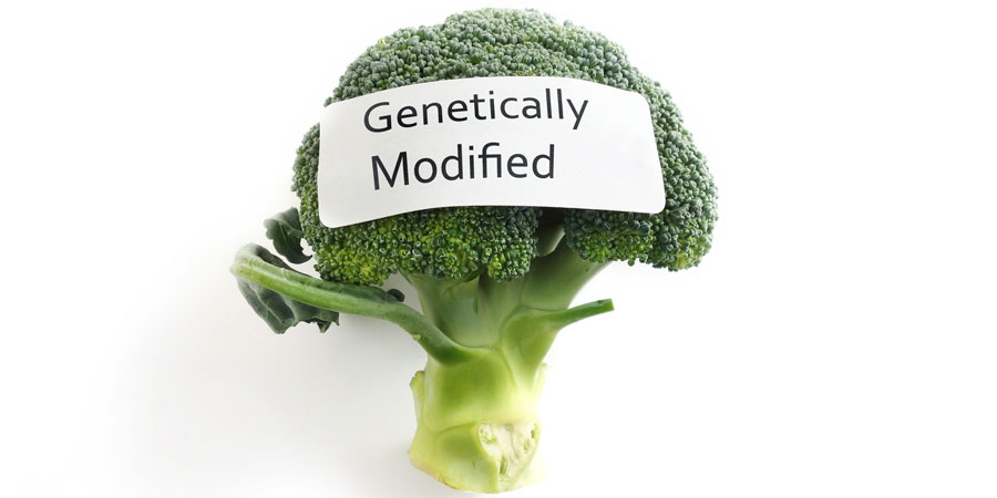 Action Alert: GMO Labeling Bills