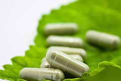 Are Supplements Really Useless?